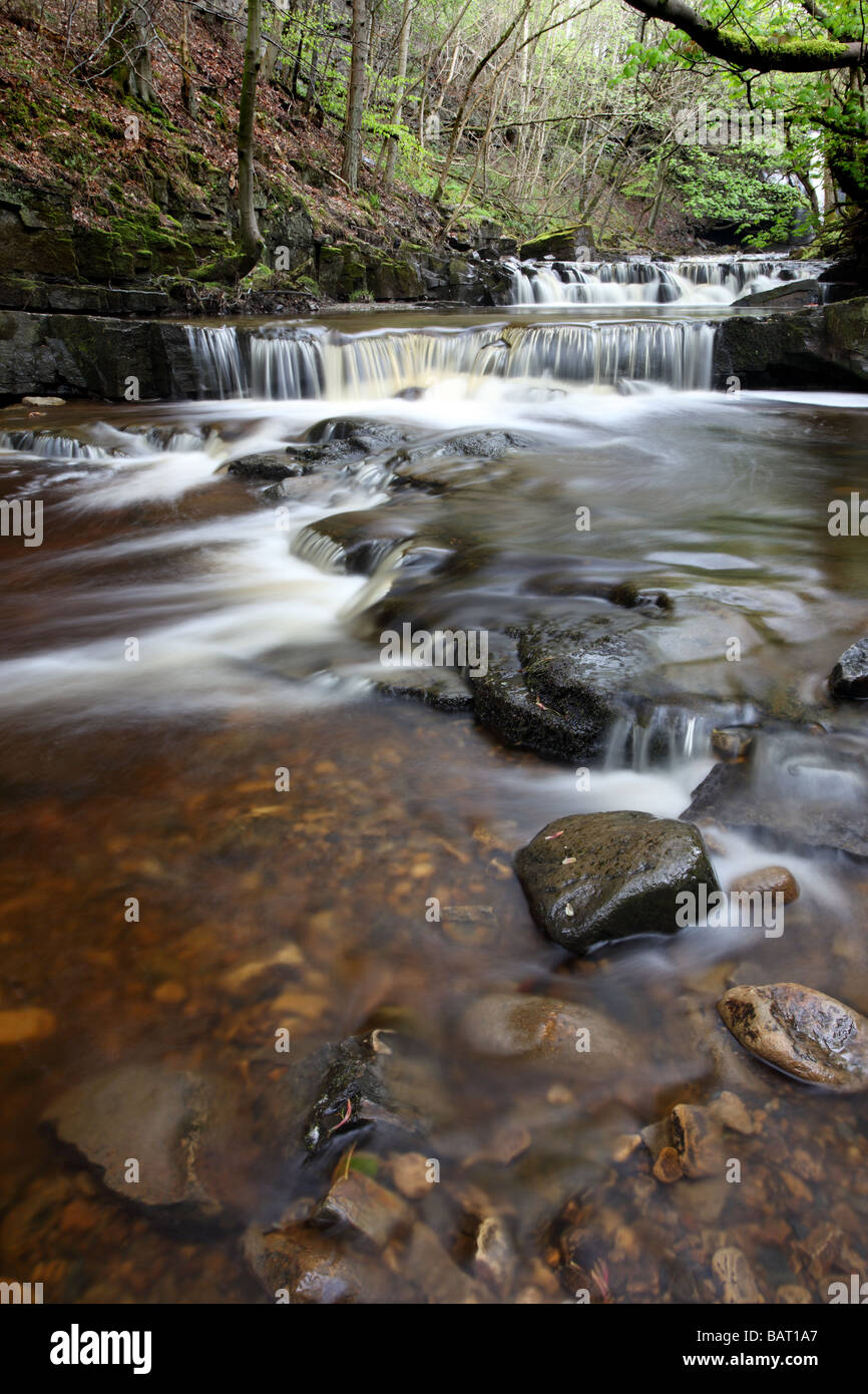 Waterfalls Downstream of Summerhill Force and Gibsons Cave Bowlees Beck Bowlees Upper Teesdale County Durham Stock Photo