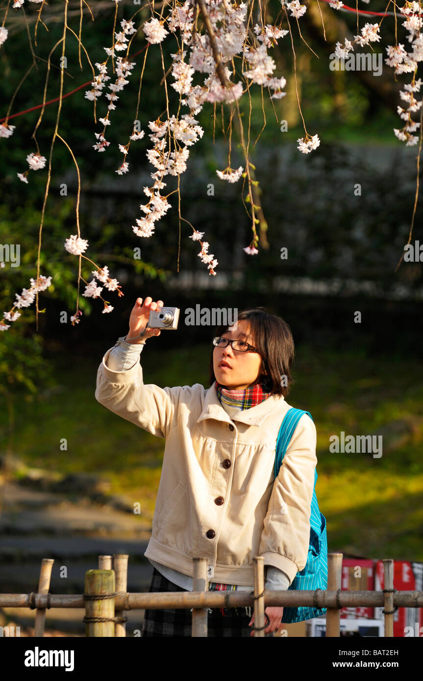 Cherry Blossoms Festival at Maruyama Park, Kyoto JP Stock Photo