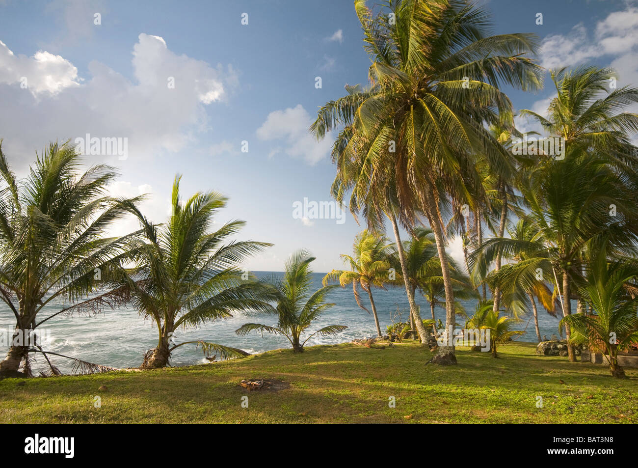 Corn island nicaragua hires stock photography and images Alamy