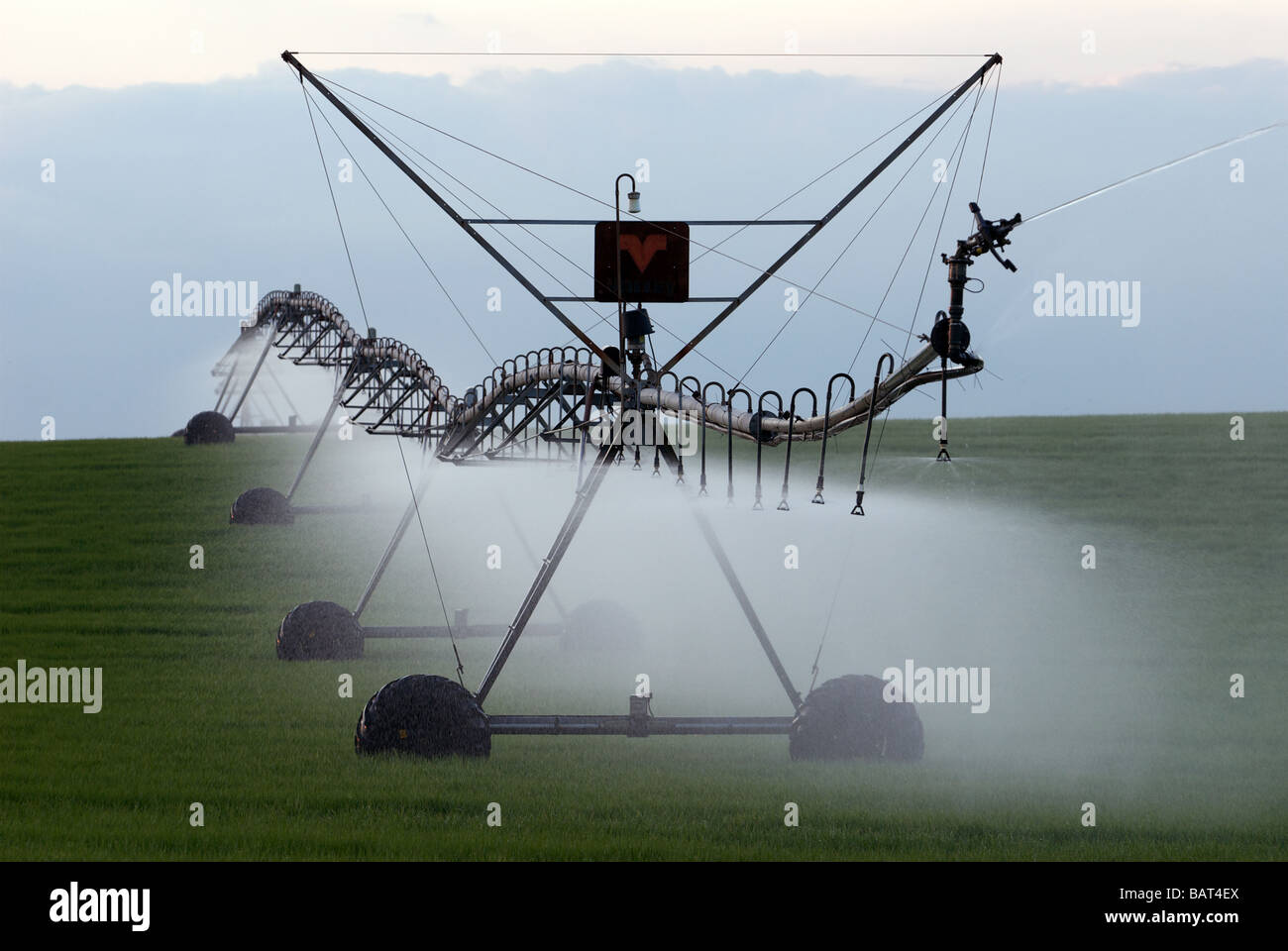 Center pivot precision spray irrigation system watering a wheat crop, Hollesley, Suffolk, UK. Stock Photo