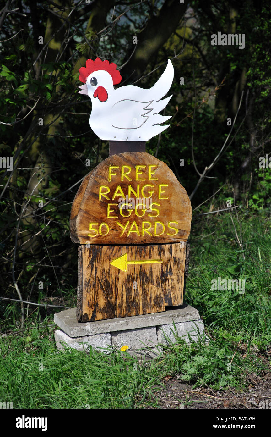 Free range eggs for sale sign, Midhurst, West Sussex, England, United