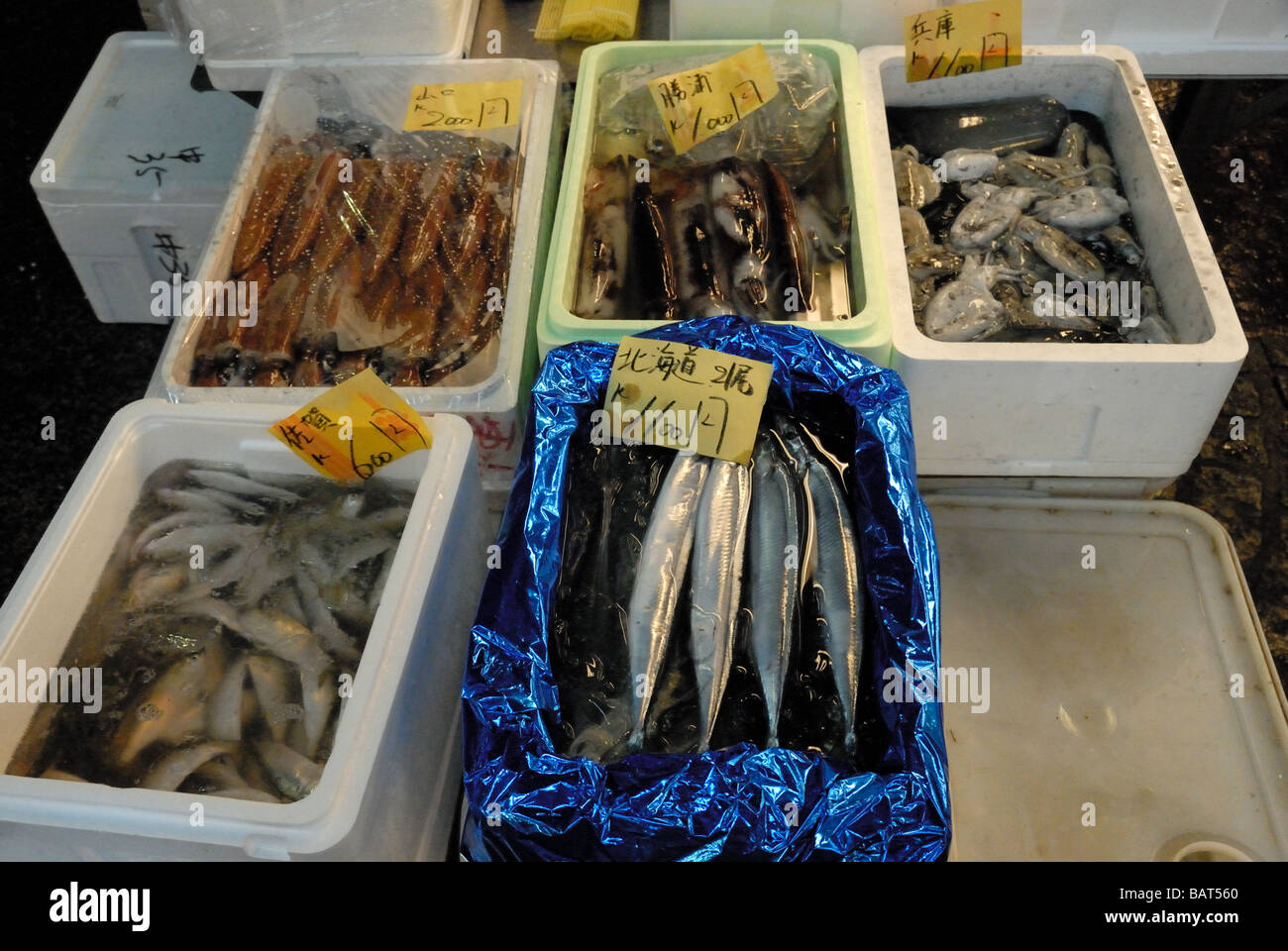 Tsukiji fish market Tokyo Japan Stock Photo - Alamy