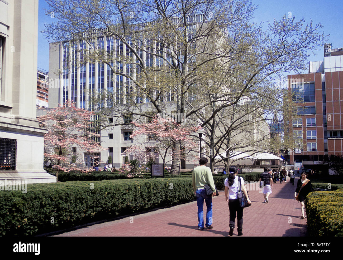 Columbia University Ivy League campus in New York City. Students walking to class on the East Walk. Uris Hall and spring blossoms on the trees. USA Stock Photo