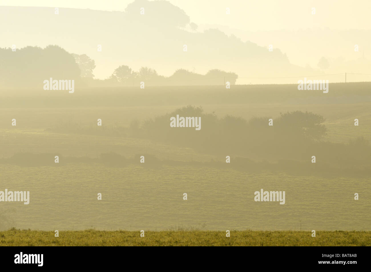 French Picardie countryside in autumn morning mist Stock Photo