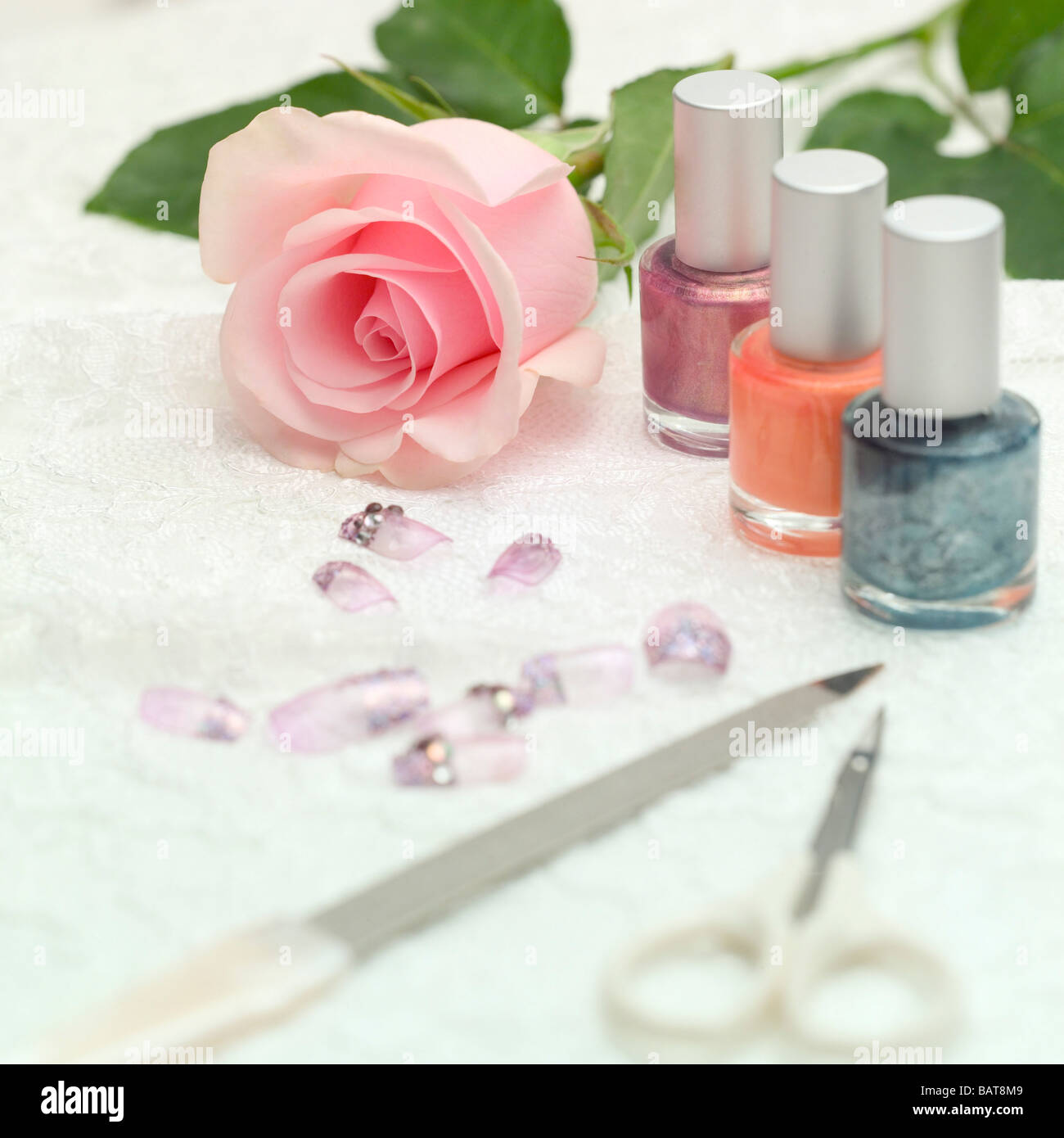 Rose and beauty care accessories Stock Photo Alamy