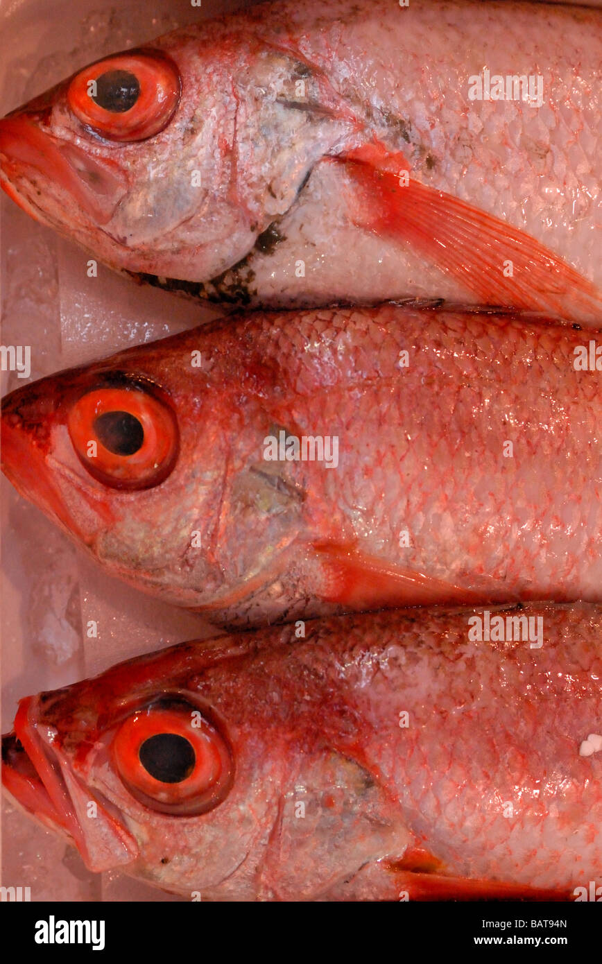 Brightly coloured fish packed into boxes on sale in Tokyo's Tsukiji fish market Stock Photo