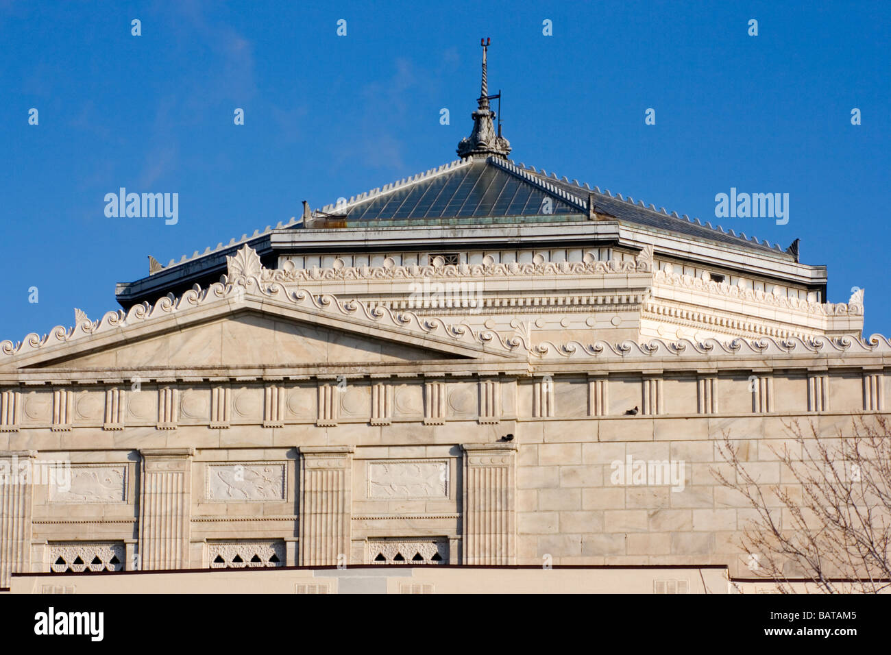 Shedd Aquarium in downtown Chicago Stock Photo Alamy