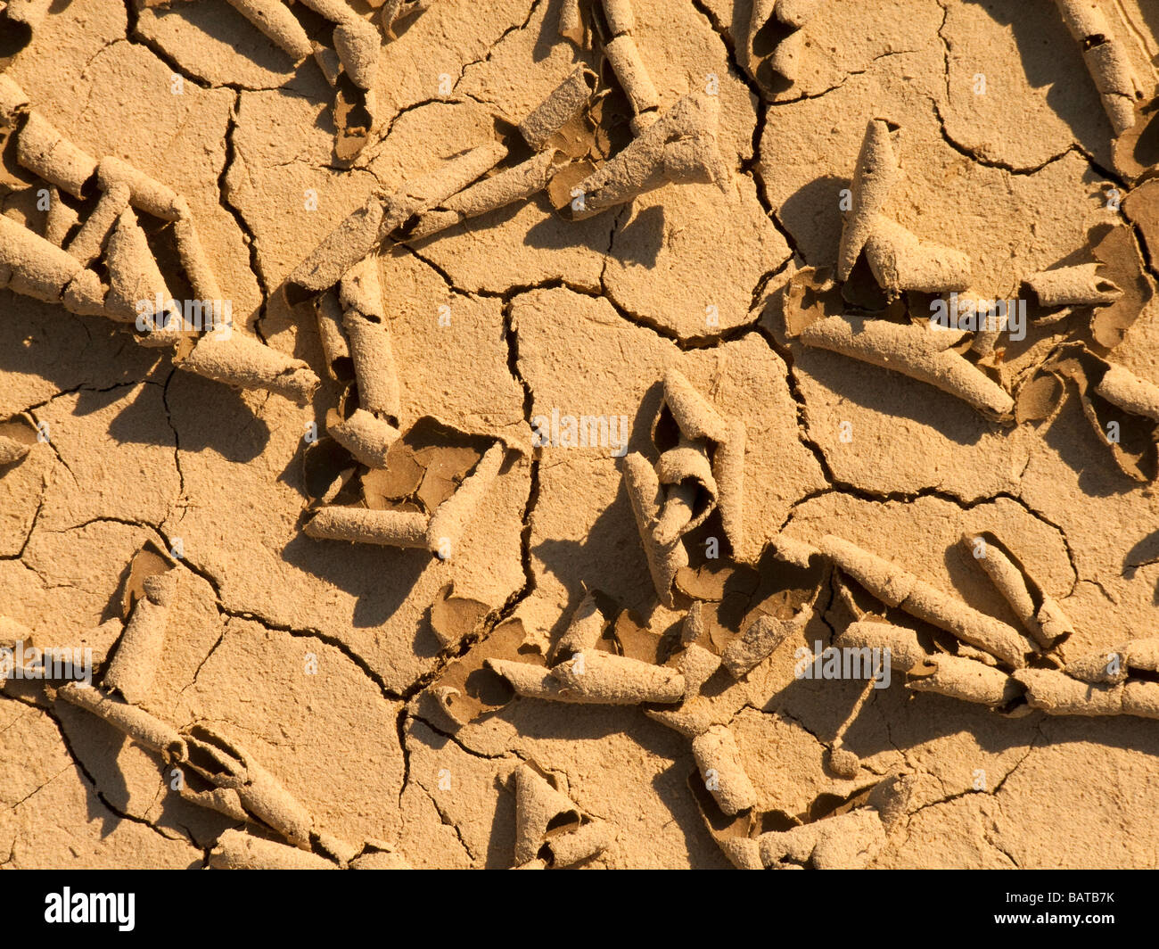 Soil cracks drought extreme dry weather Stock Photo Alamy