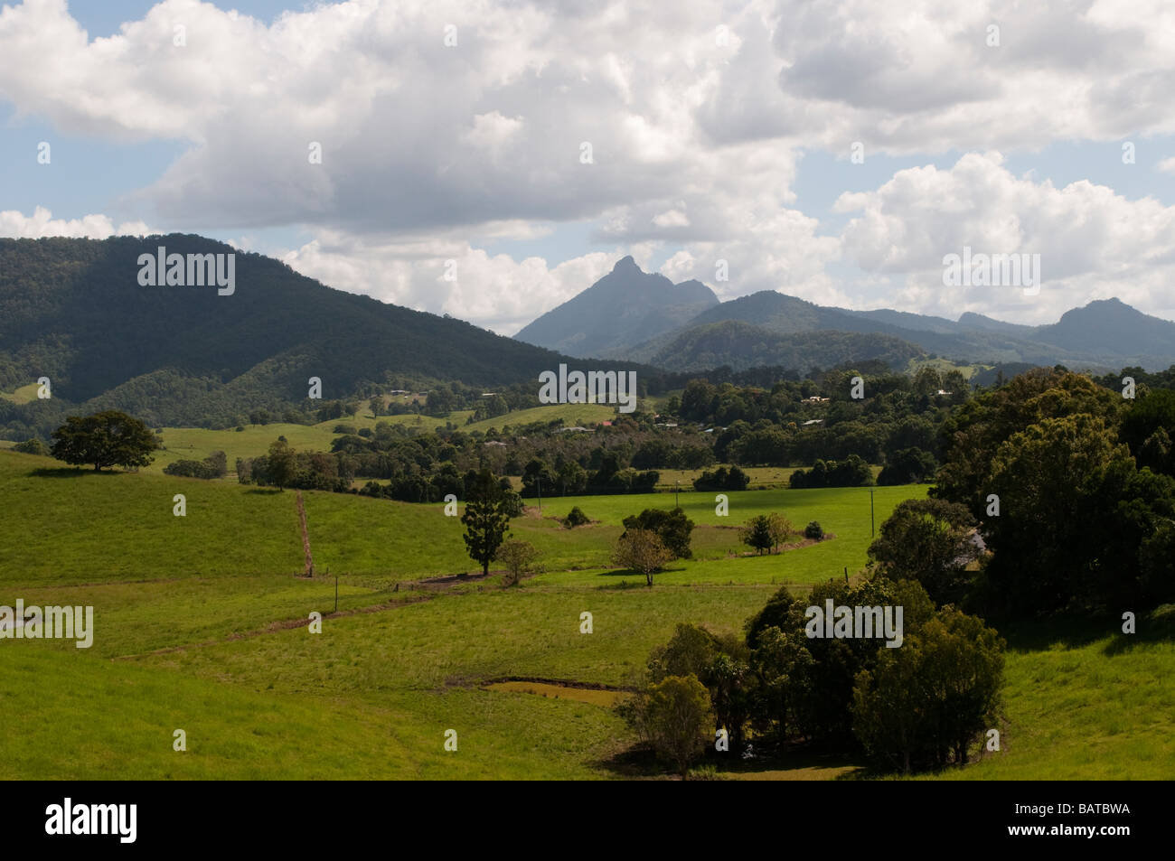 Tweed Valley landscape with Mount Warning or Wollumbin NSW Australia