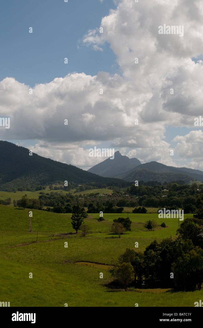 Tweed Valley landscape with Mount Warning or Wollumbin NSW Australia