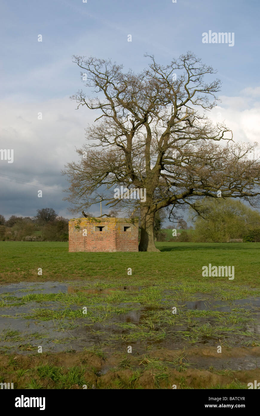 Bunker and tree in field, Haxted, near Edenbridge, Kent, England, UK Stock Photo