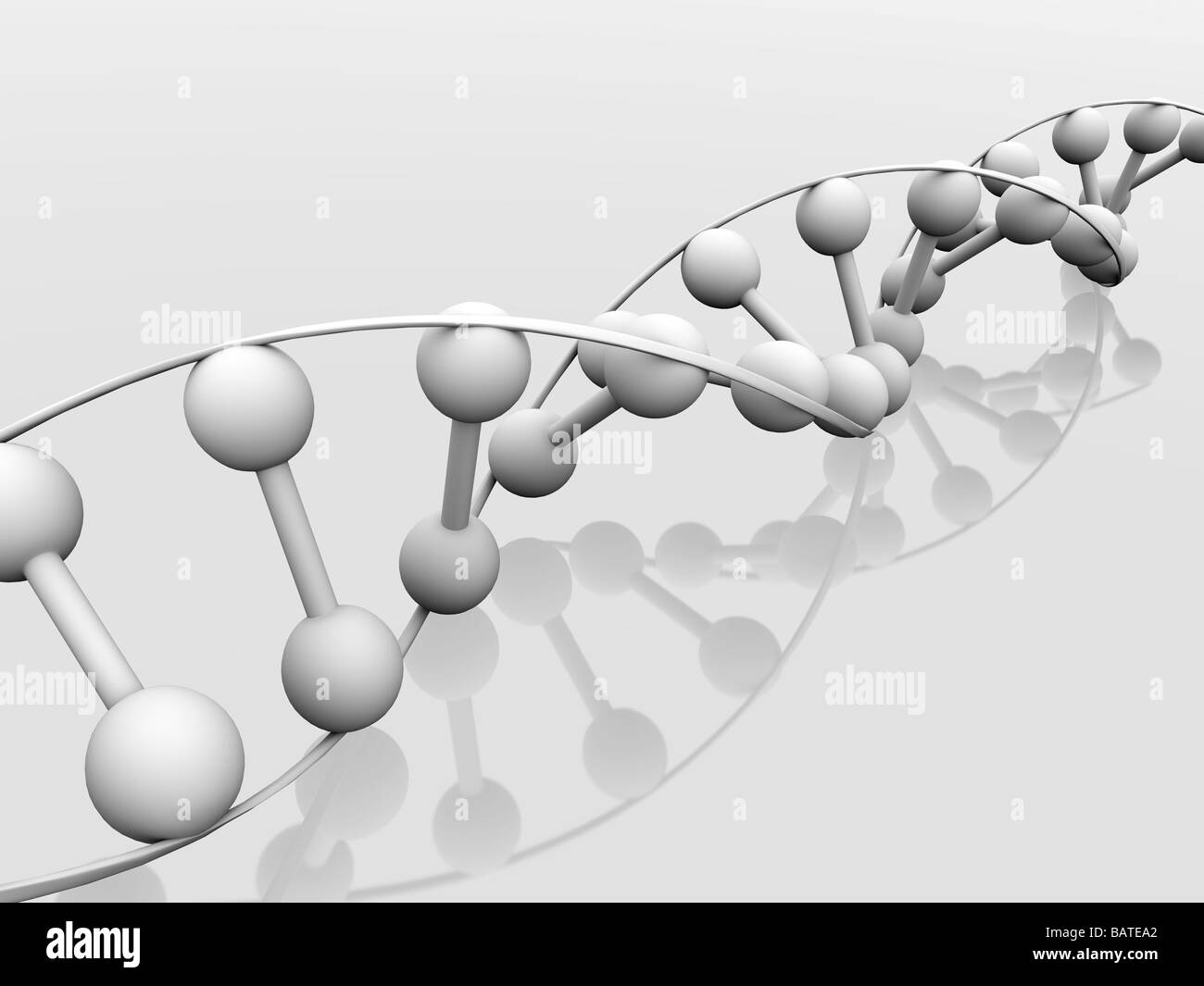 DNA molecule, conceptual computer artwork. Stock Photo
