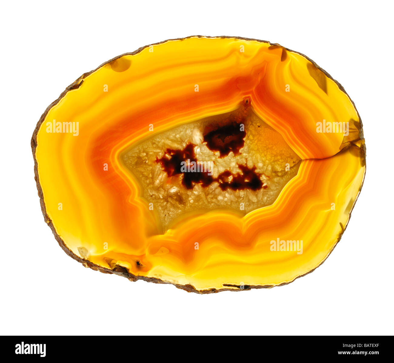 Agate slice. Stock Photo