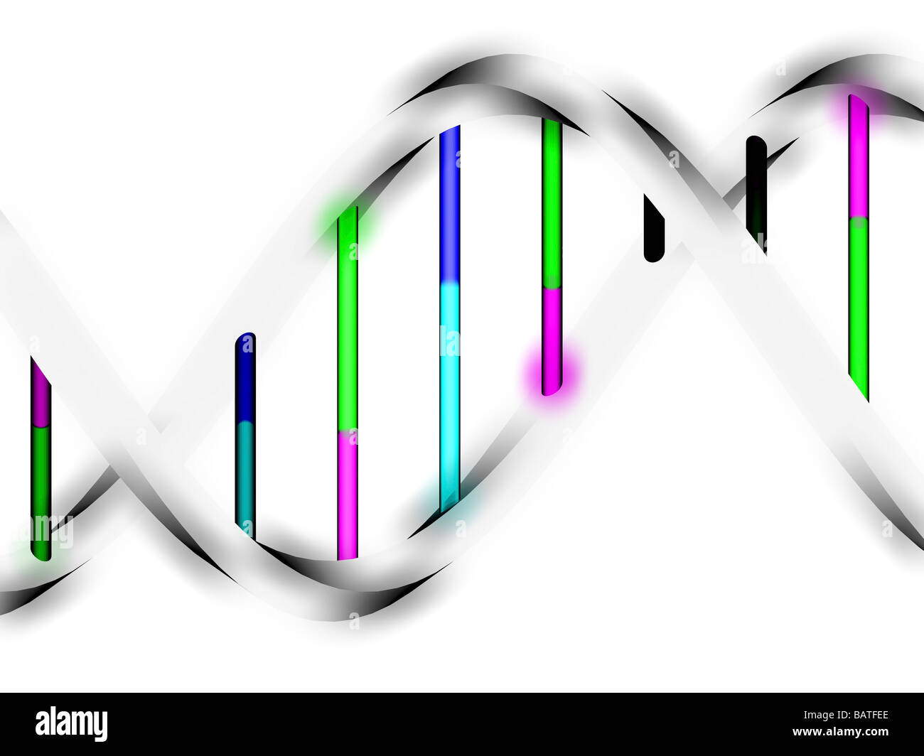 DNA (deoxyribonucleic acid) molecule, computer artwork. Stock Photo