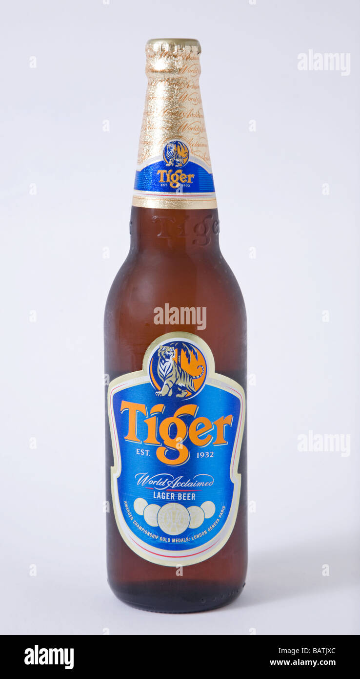 'tiger beer' 'tiger lager' tiger bottle Stock Photo