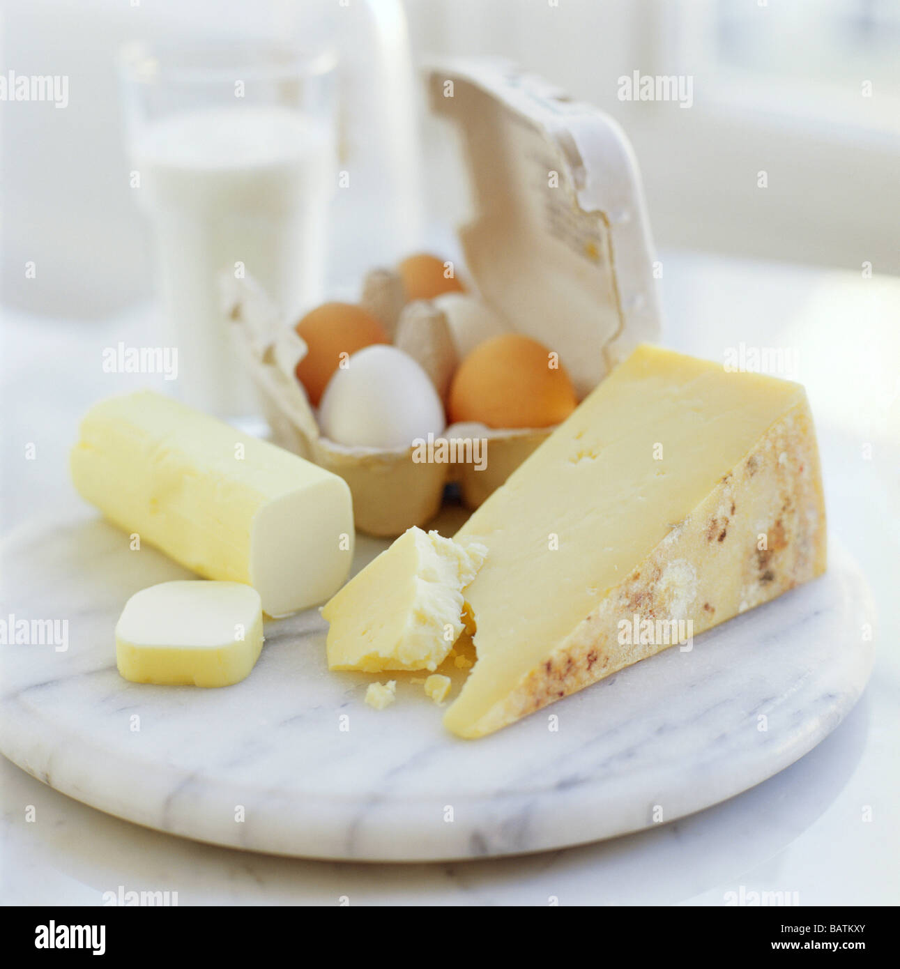 Eggs and cheeses. Eggs are rich in protein and in cholesterol. Cheeses are rich in calcium Stock