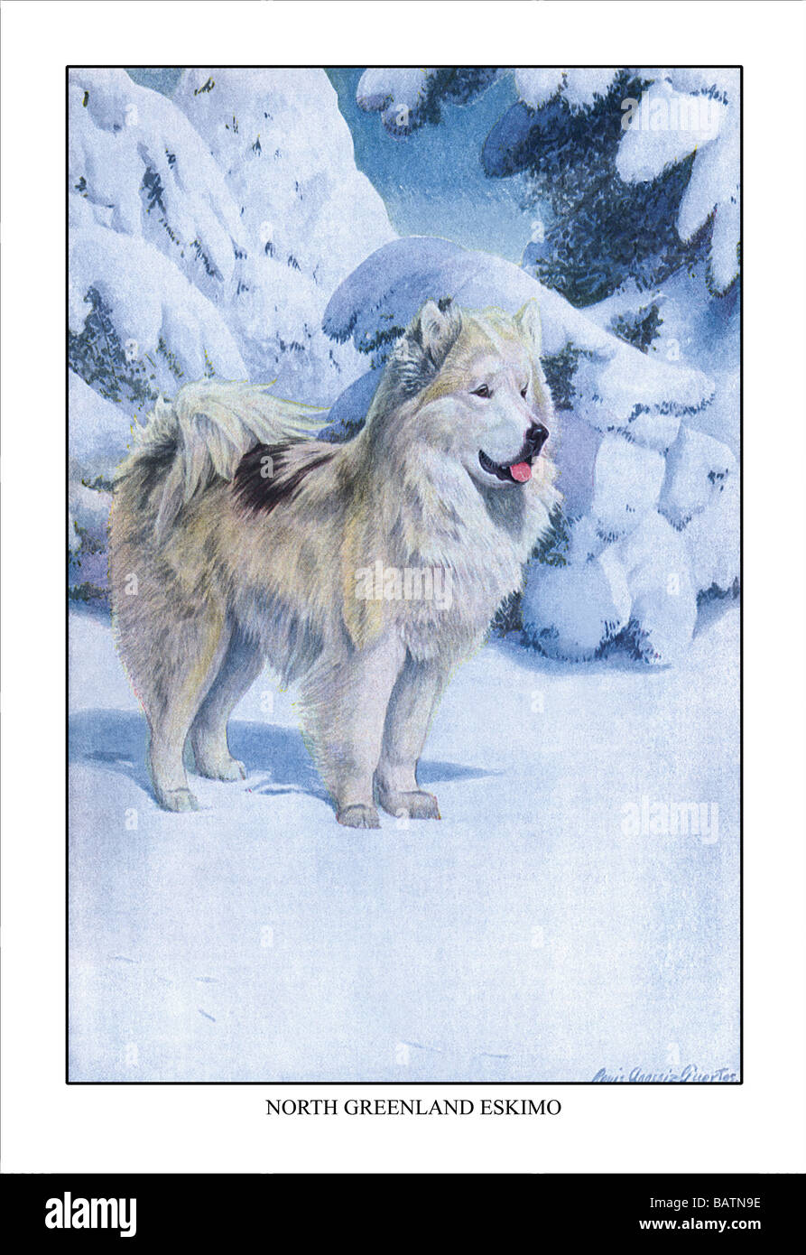 North Greenland Eskimo Stock Photo Alamy