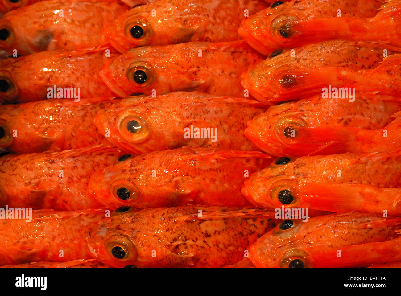 Brightly coloured fish packed into boxes on sale in Tokyo's Tsukiji fish market Stock Photo