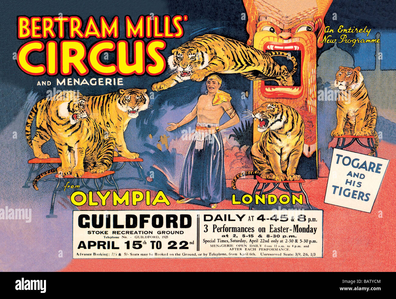 Togare and his Tigers: Bertram Mills' Circus and Menagerie Stock Photo