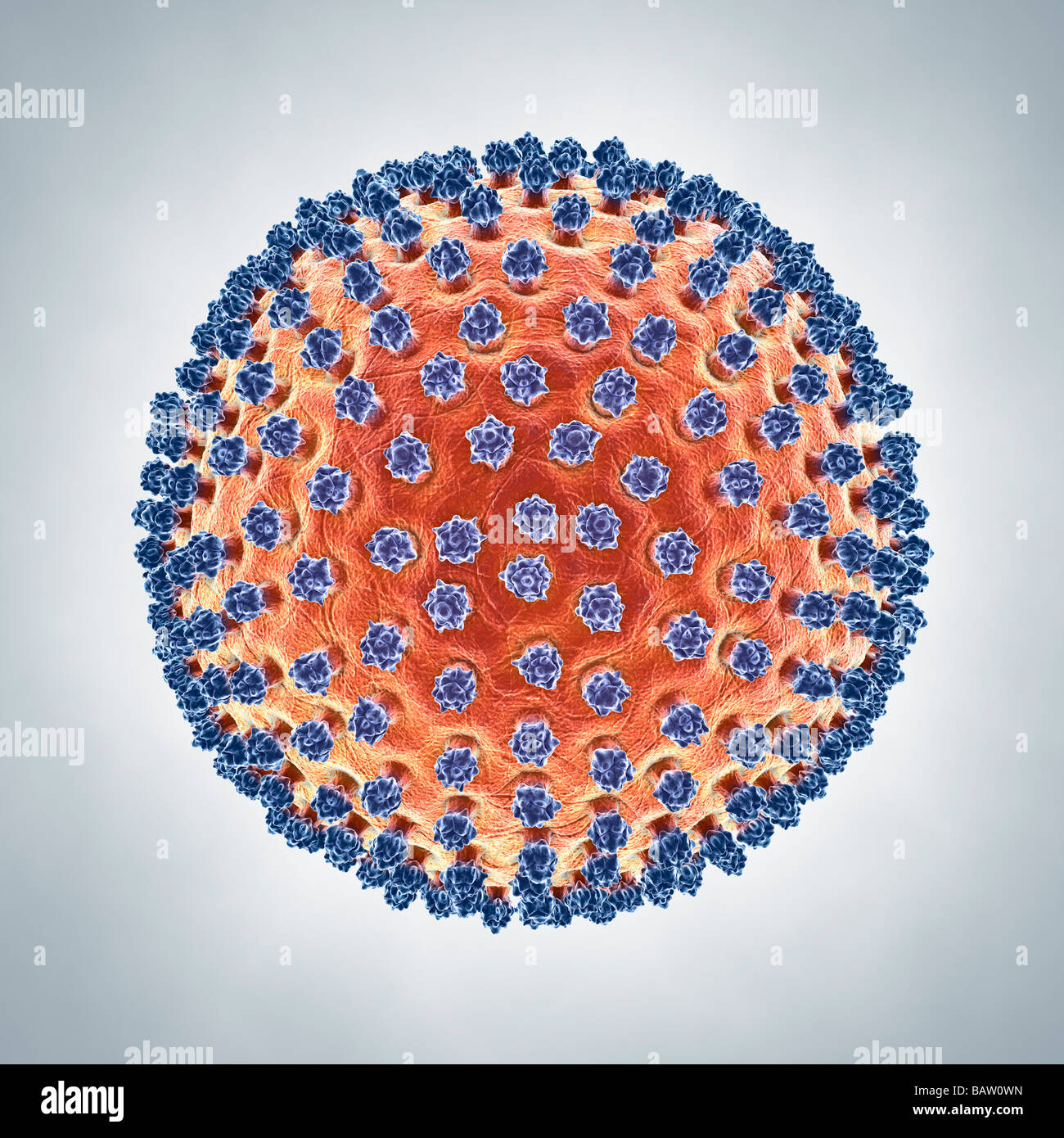 illustration of a Virus A H1N1 symbol of infection desease epidemic pandemic pandemia Stock Photo