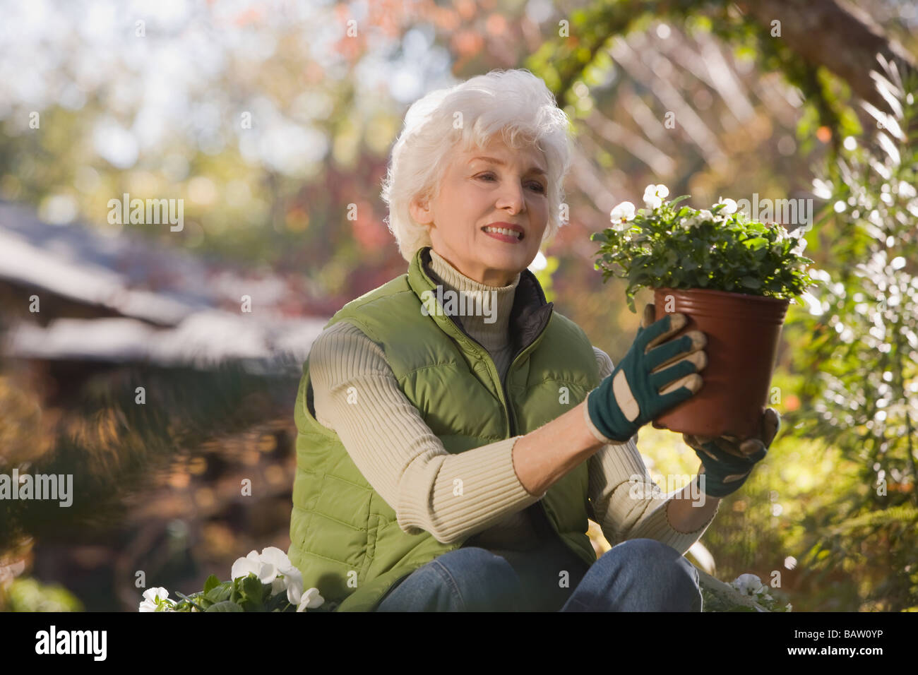 Senior woman sitting in domestic garden holding potted plant Stock ...