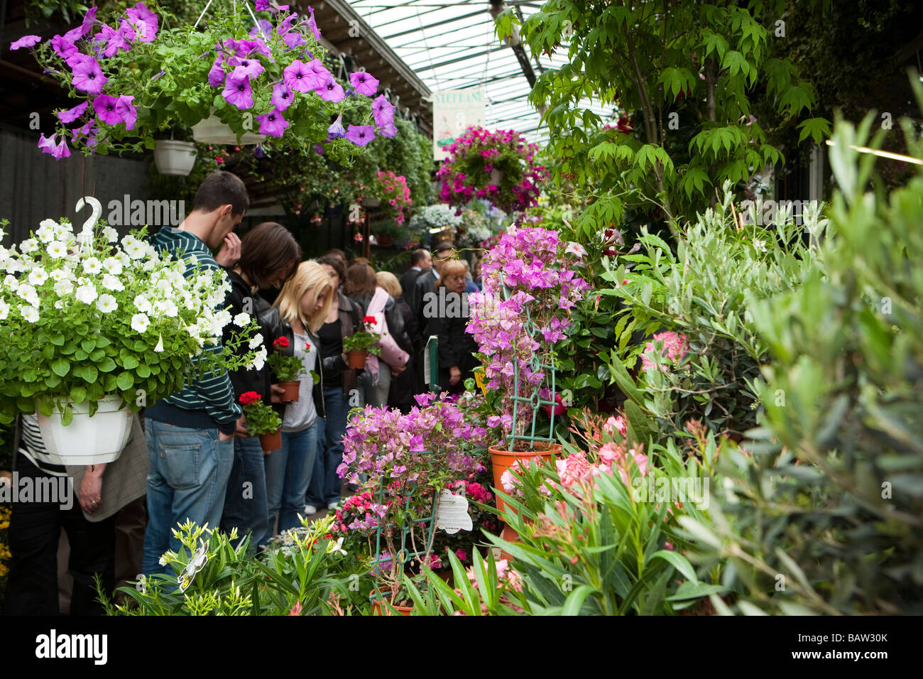 Flower Market Paris Stock Photo