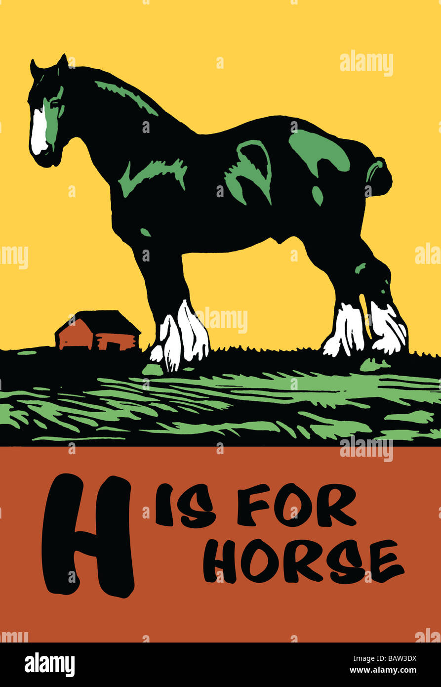 H Is For Horse Stock Photo Alamy H is for horse stock photo alamy