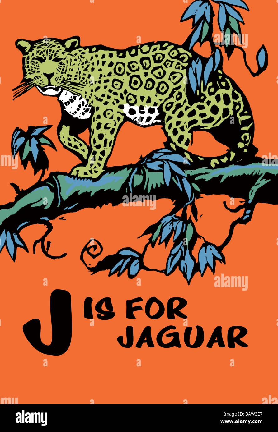 J is for Jaguar Stock Photo Alamy