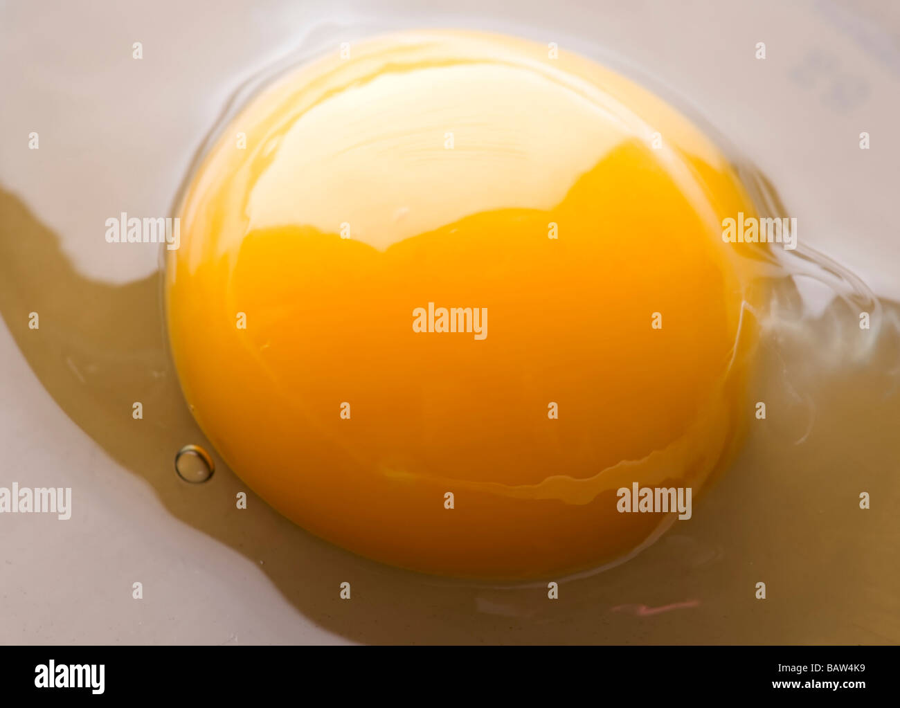 object on white food fried eggs Stock Photo