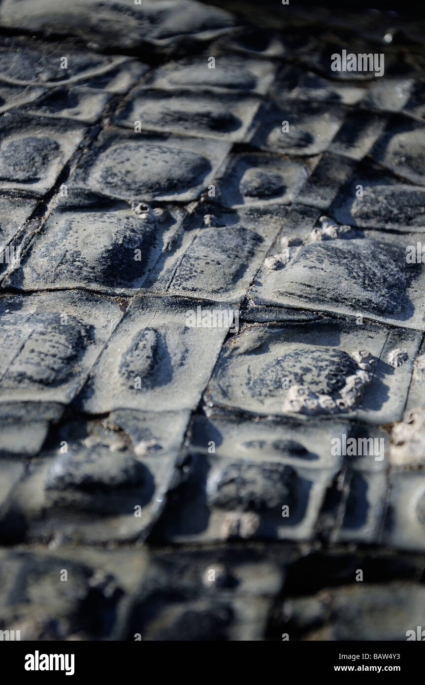 Lattice stone texture Stock Photo