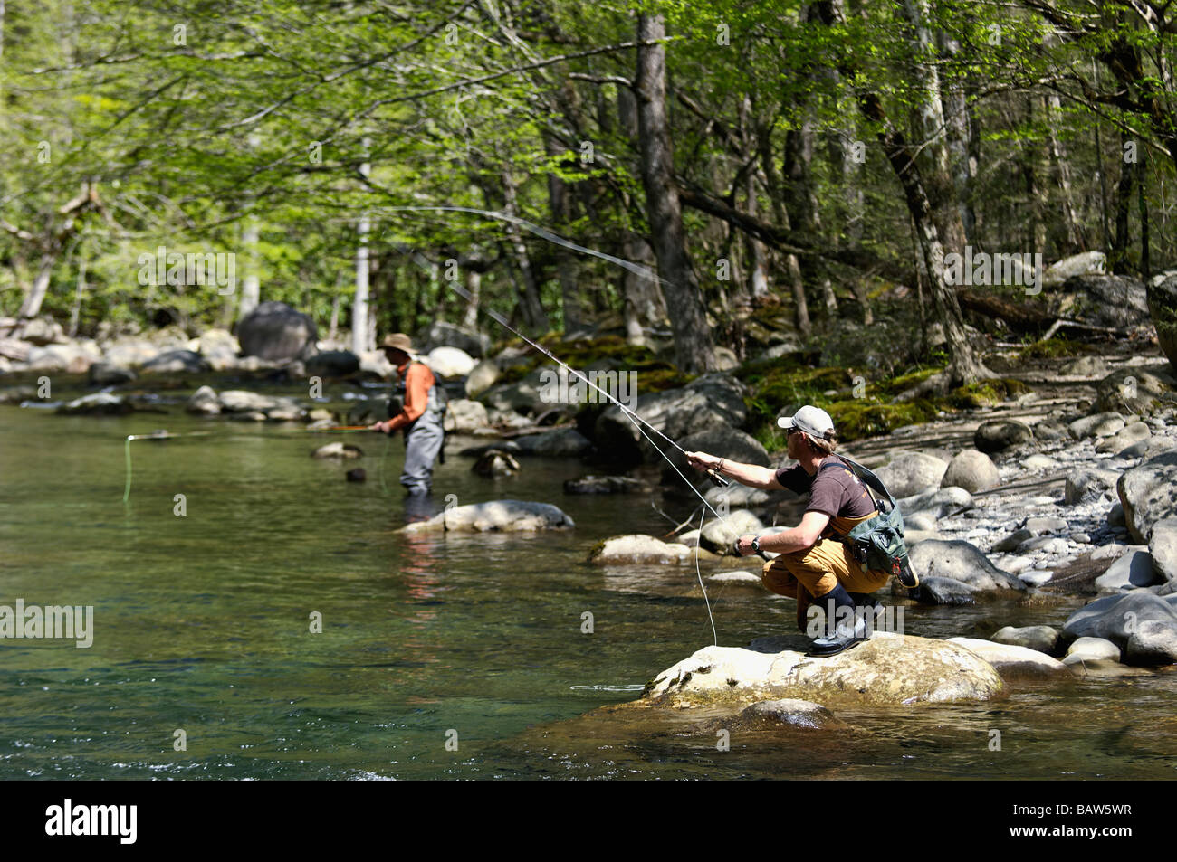 Fly Fishermen Fishing on Middle Fork of Little Pigeon River in Greenbrier Area of Great Smoky Mountains National Park, Tennessee Stock Photo
