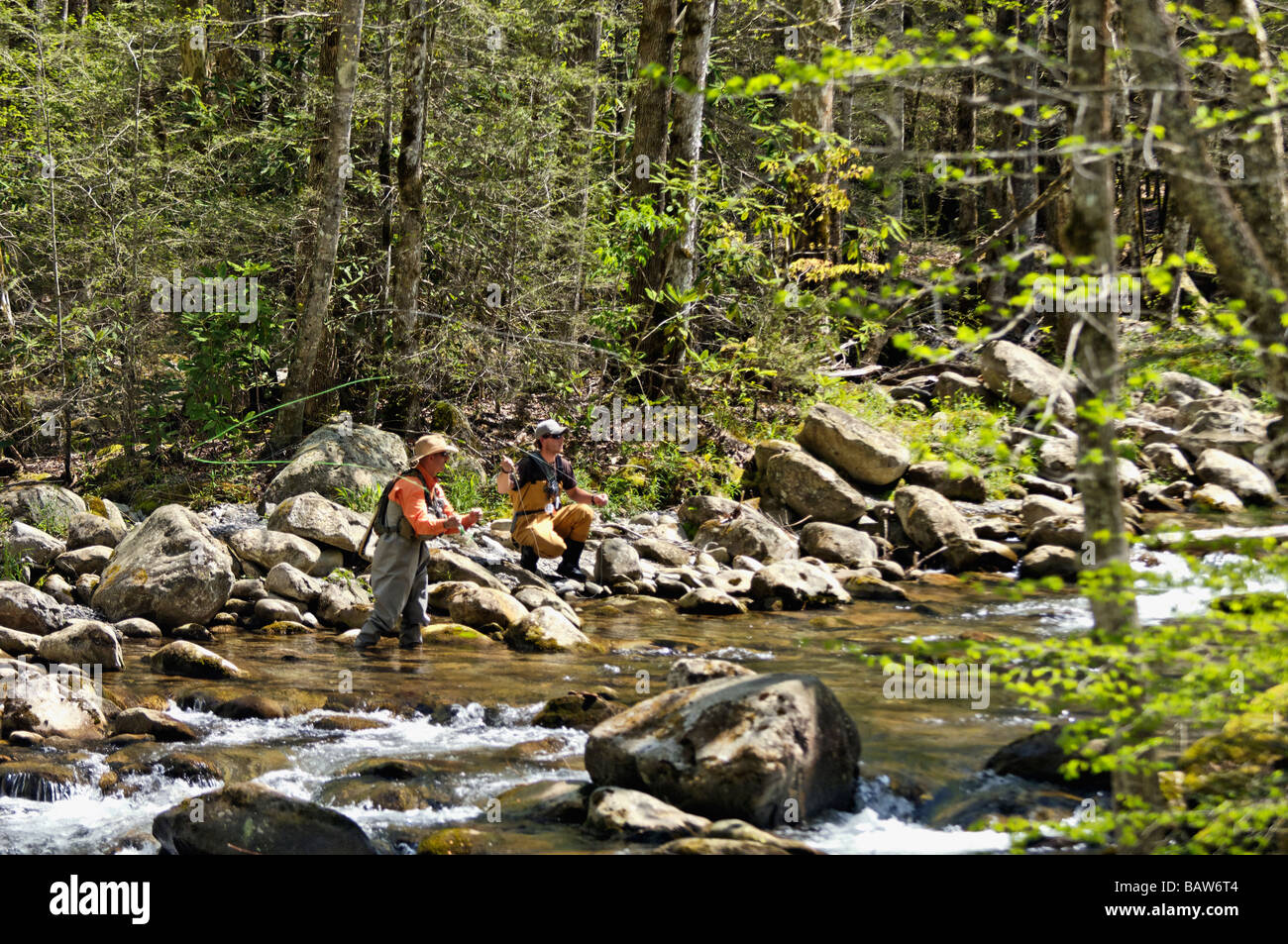 Fly Fishermen Fishing on Middle Fork of Little Pigeon River in
