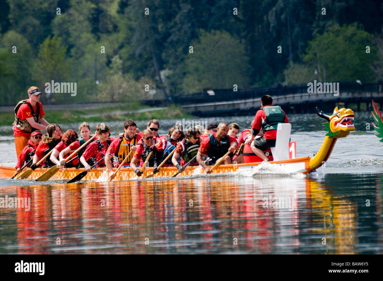 Dragon boat race on Capitol Lake in Olympia, Washington Stock Photo Alamy