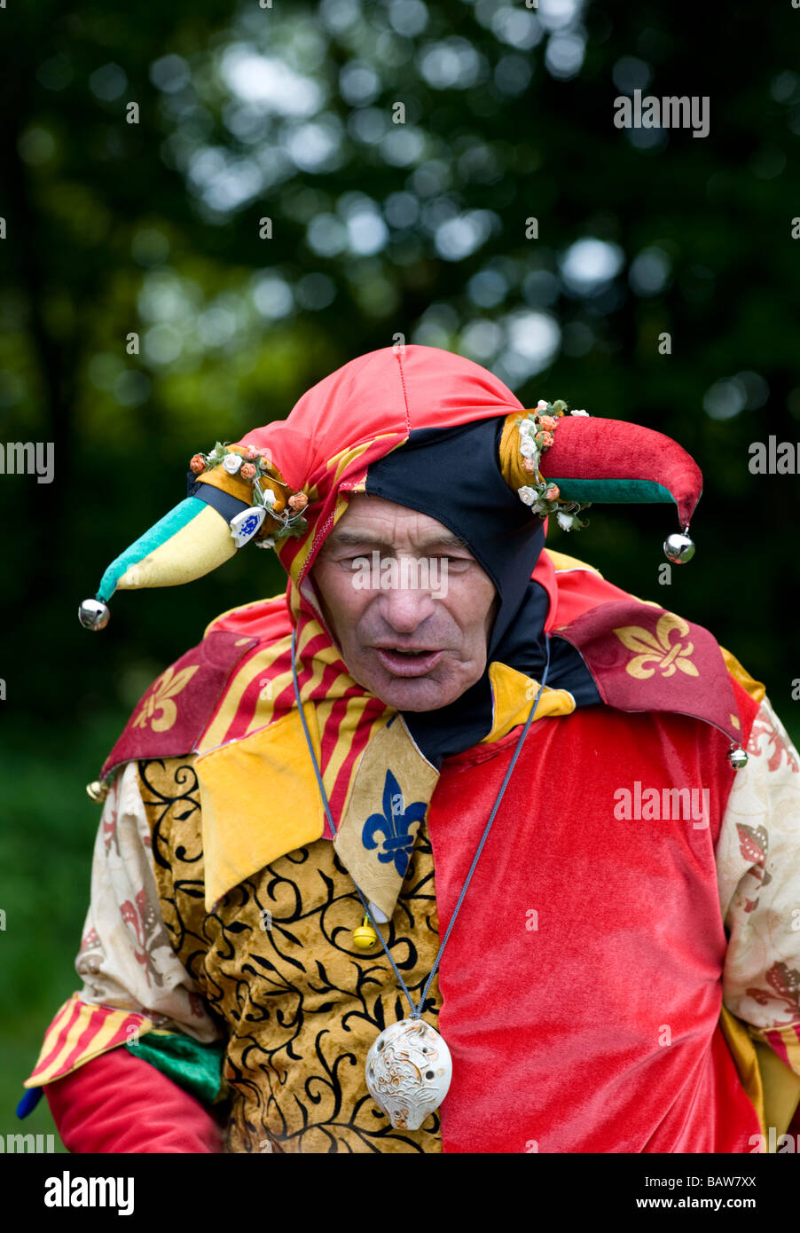 Medieval court jester hi-res stock photography and images - Alamy