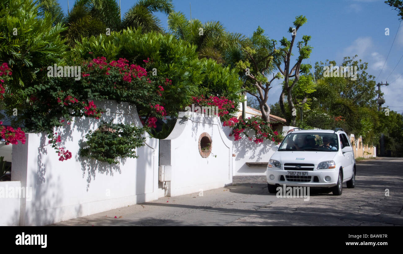 Small car on island road with bougainvillea St Barts Stock Photo