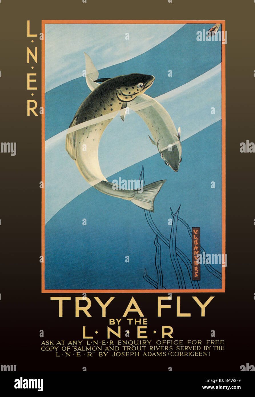 Try a Fly Stock Photo - Alamy