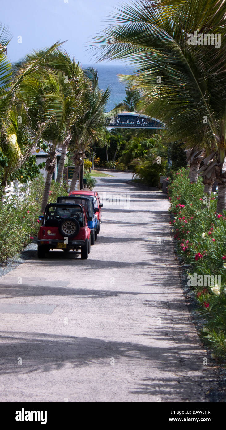 Palm lined avenue leading to Hotel Guanahani and Spa St Barts Stock Photo