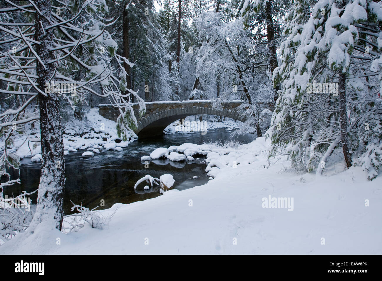 Stone Bridge Along The Merced River Yosemite National Park CA Stone Bridge Along The Merced River Yosemite National Park CA