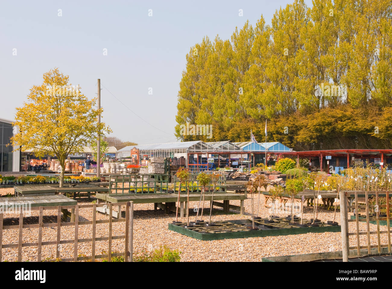 A general view of the Early Dawn Nurseries garden centre selling