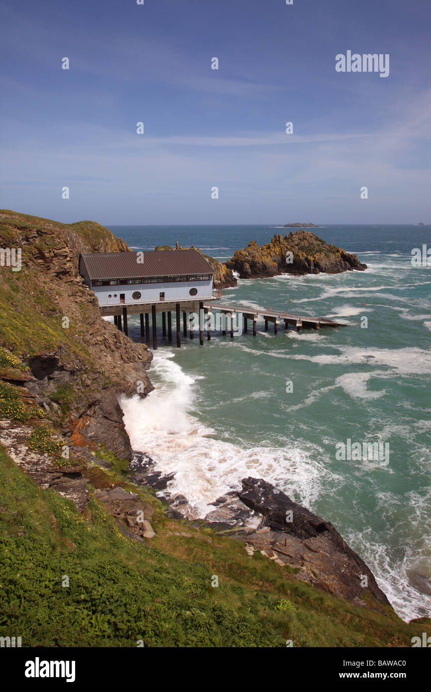Trevose Head near Padstow, Cornwall Stock Photo - Alamy