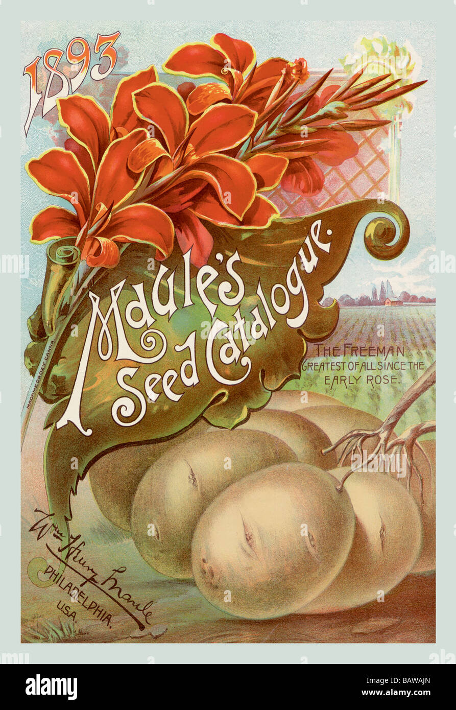 Maule's Seed Catalogue,1893 Stock Photo