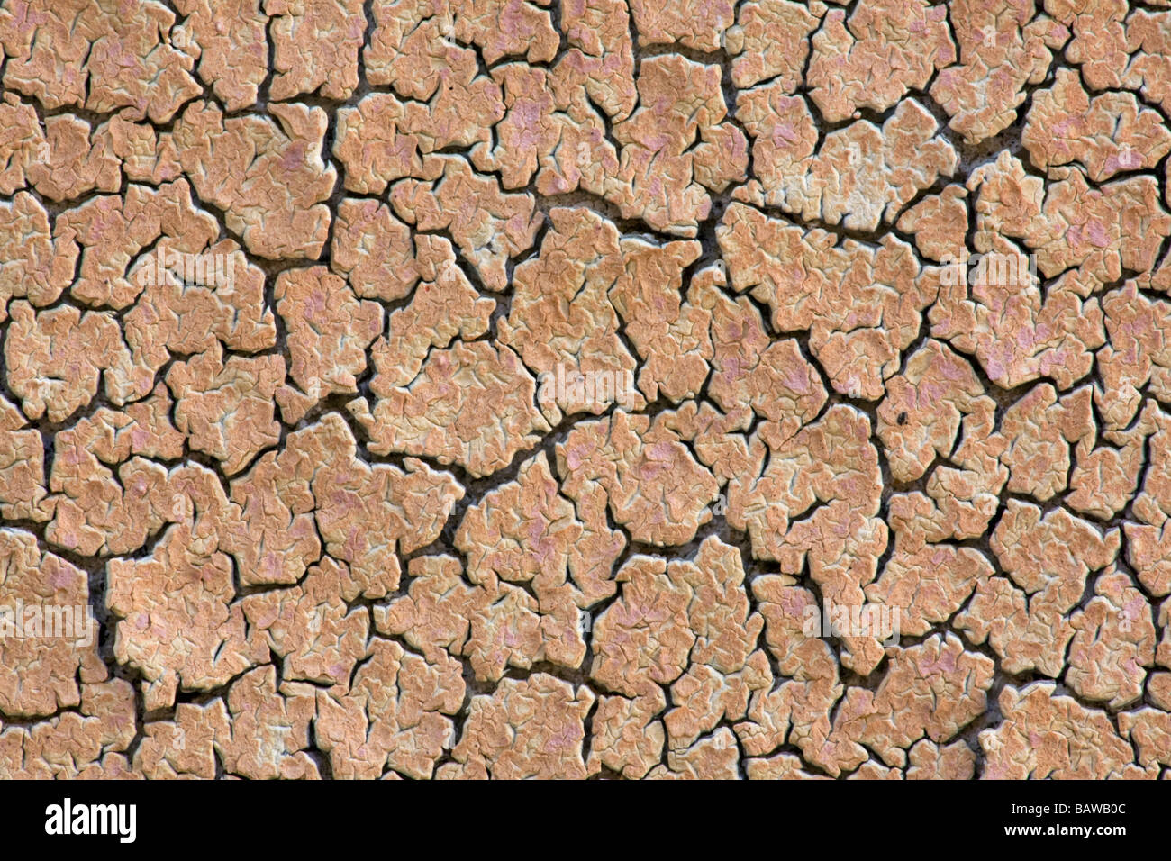 Peeling Paint Kolmanskop Namibia Stock Photo Alamy