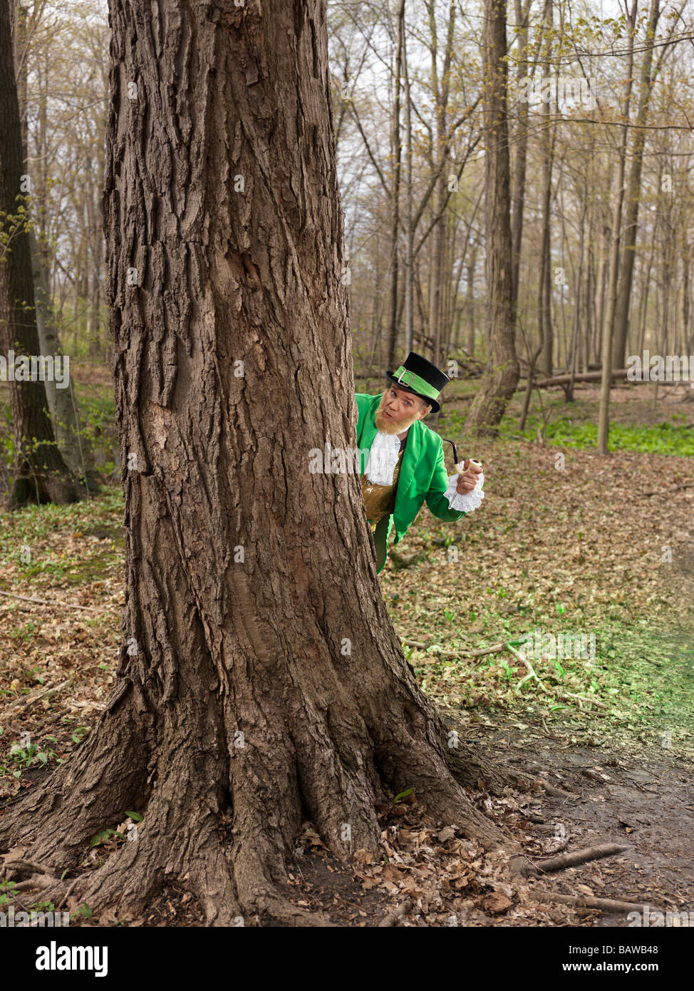 Leprechaun hiding behind a tree Stock Photo Alamy