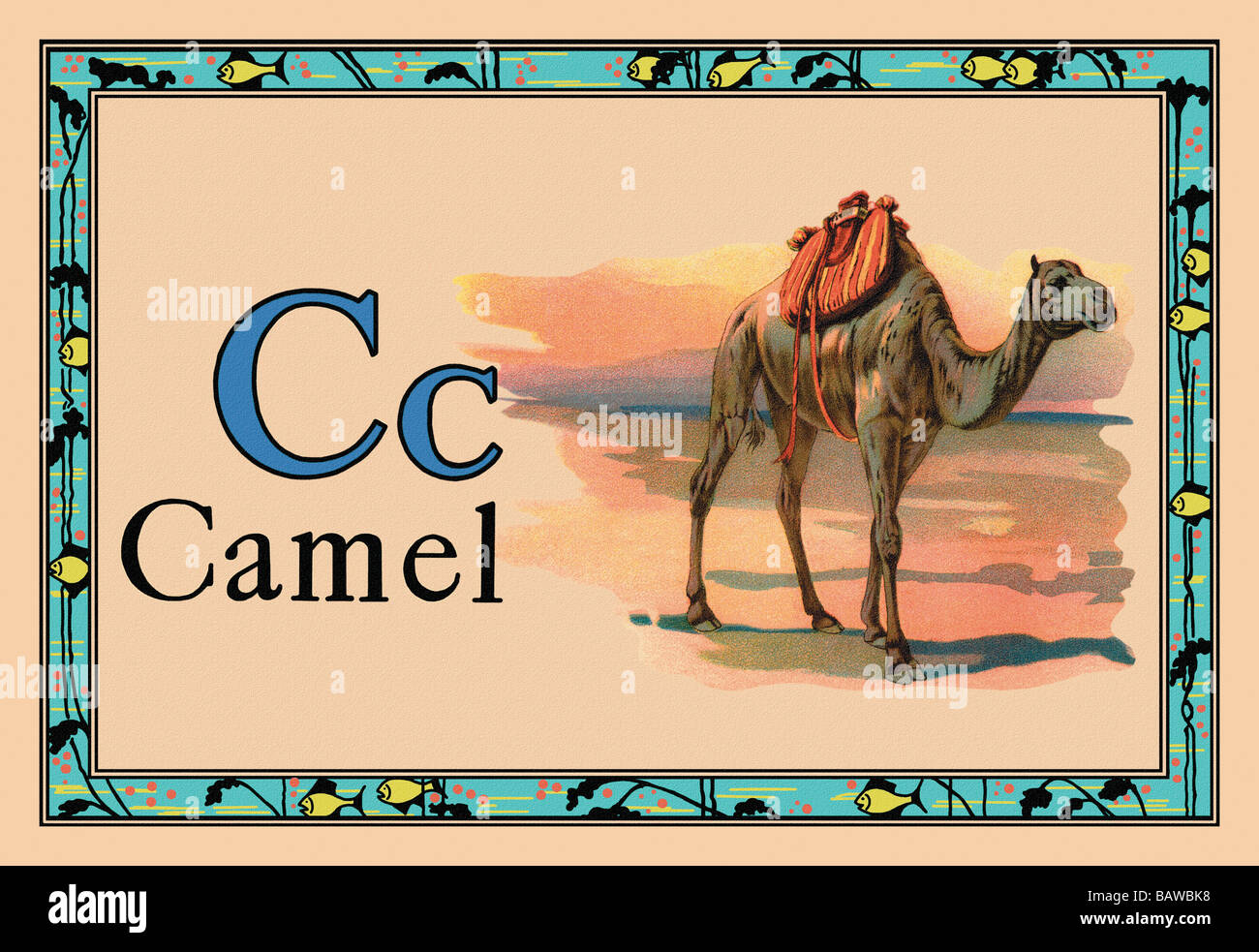 Alphabet Camel Camel High Resolution Stock Photography And Images Alamy