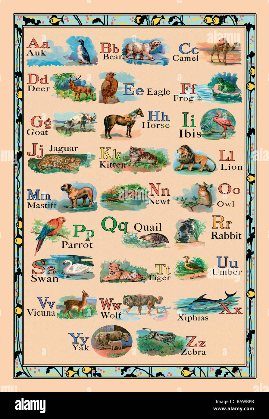 Animal alphabet hi-res stock photography and images - Alamy Animal alphabet hi-res stock photography and images - Alamy