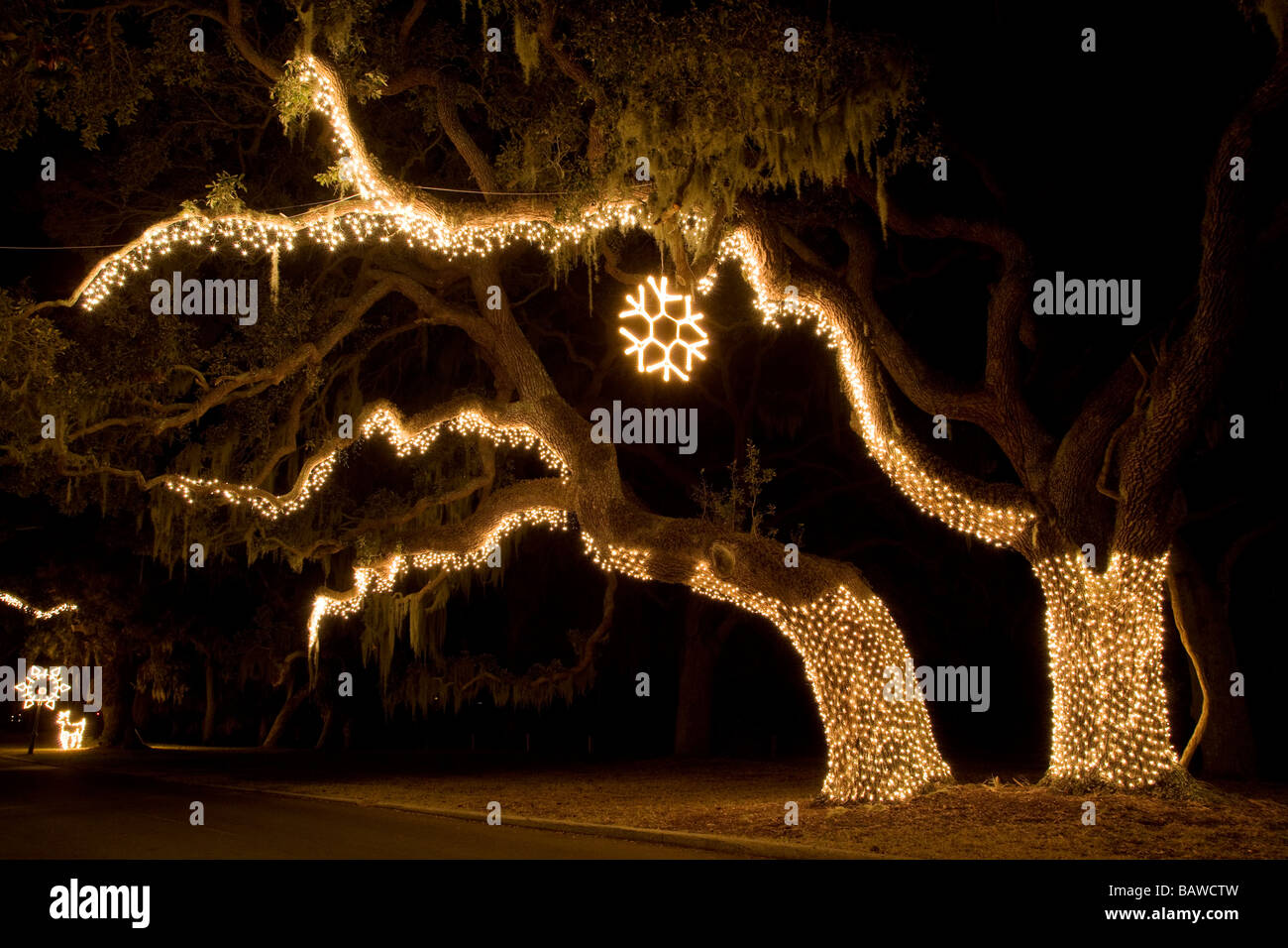 Holiday lights in the historic district Jekyll Island, Stock