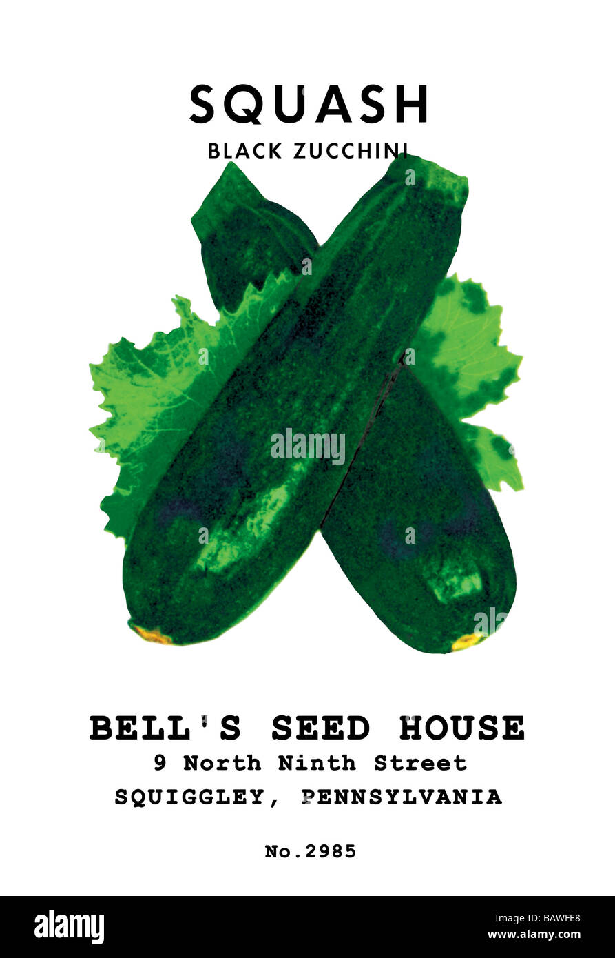 Squash Black Zucchini Stock Photo Alamy