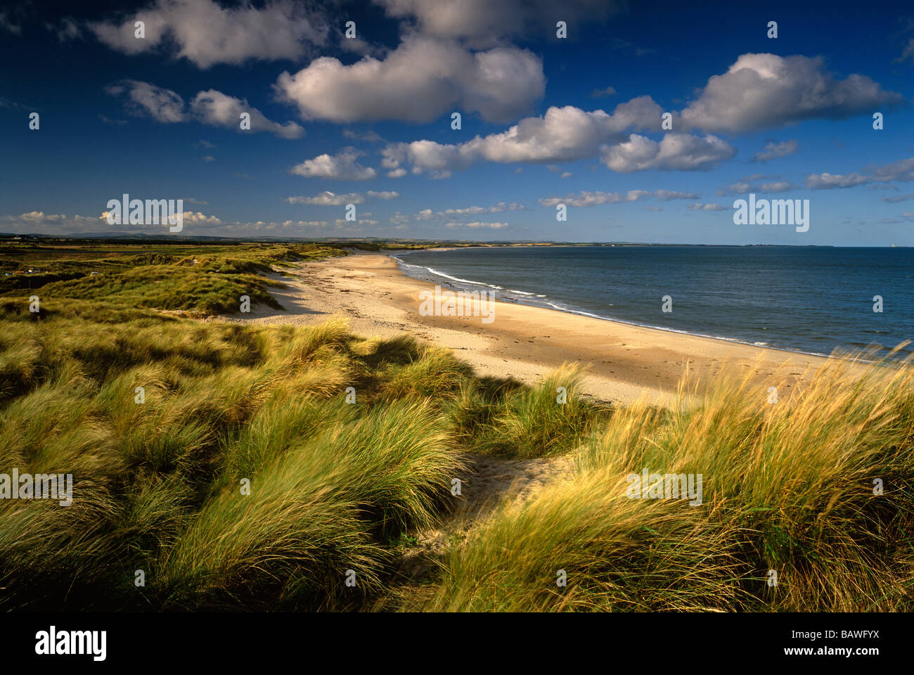 Bawfyx druridge bay near creswell hires stock photography and images