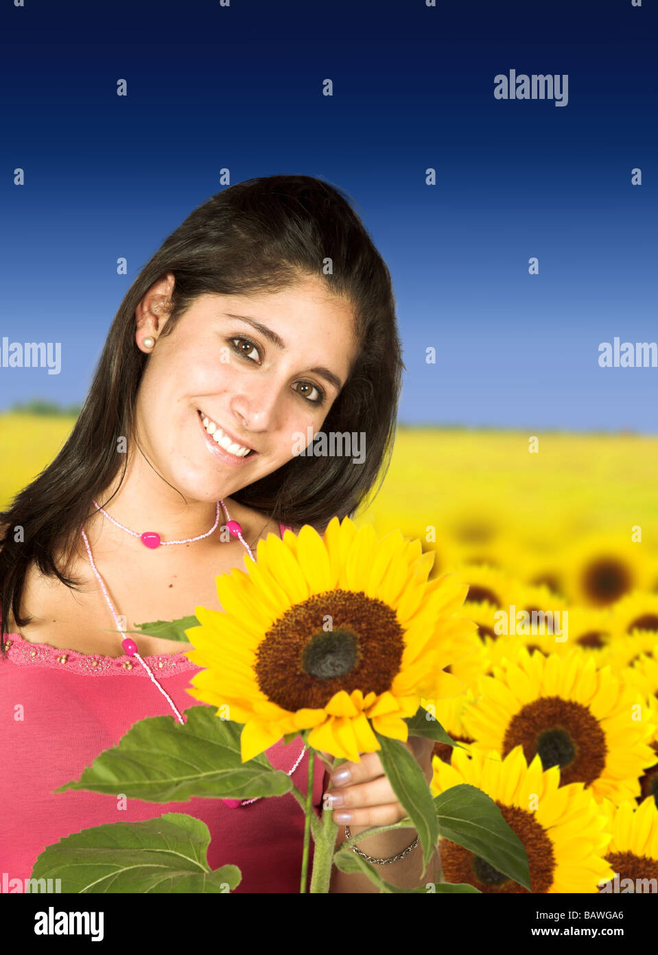 beautiful girl in sunflower field Stock Photo - Alamy