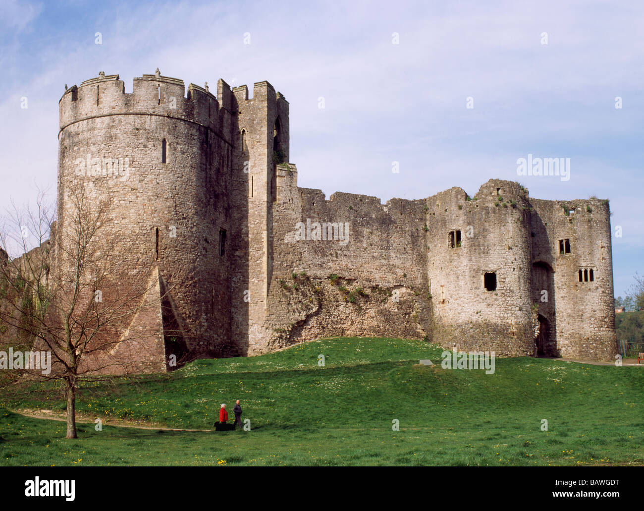 Wales Gwent Monmouthshire Chepstow castle Stock Photo